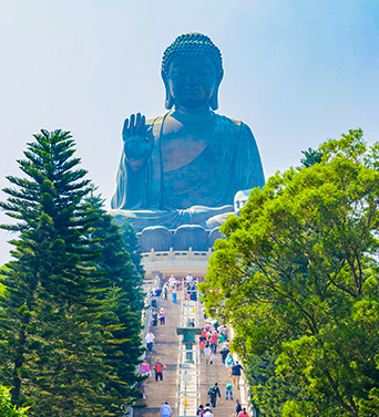 The Buddha Trail